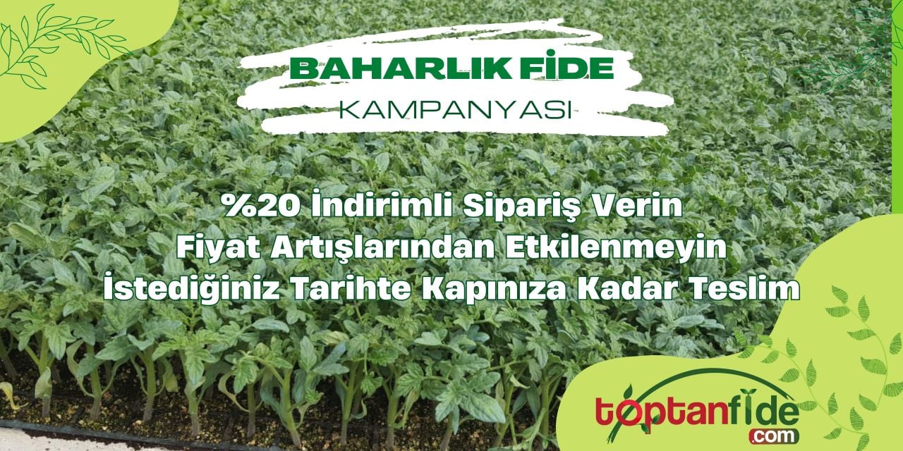 2024 Baharlık Fide Kampanyası