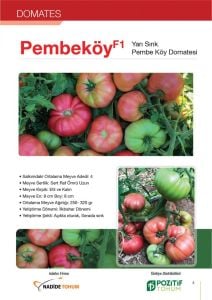 Pembeköy F1 - Pembe Köy Domatesi Fidesi