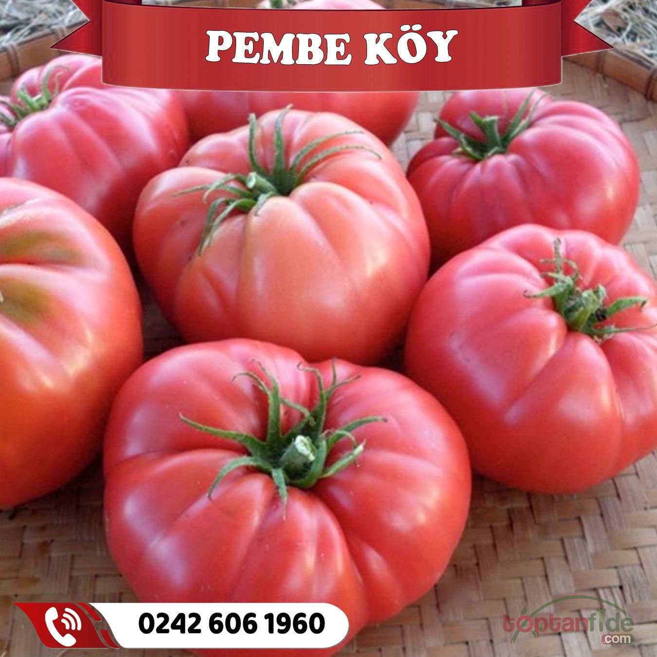 Hibrit Pembe Köy Domatesi Fidesi