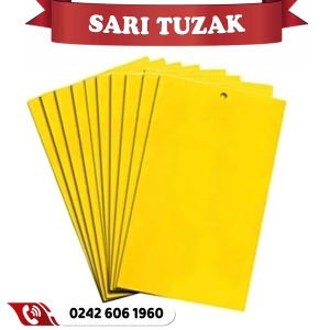 Sarı Yapışkanlı Kart Tuzak 10 Adet 25 x 10 cm
