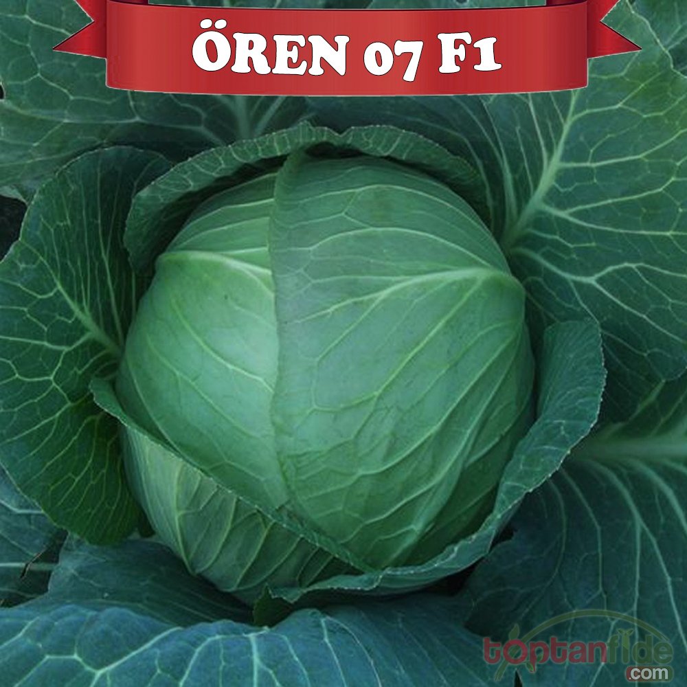 Ören 07 F1 Beyaz Lahana Fidesi
