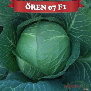 Ören 07 F1 Beyaz Lahana Fidesi