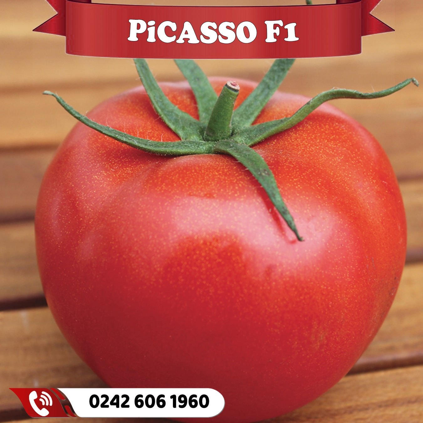 Picasso F1 Oturak Tane Domates Fidesi
