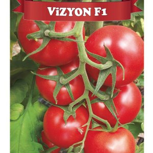 Vizyon F1 Sırık Domates Fidesi