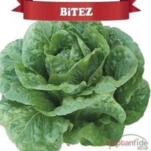 Bitez Yedikule Marul Fidesi