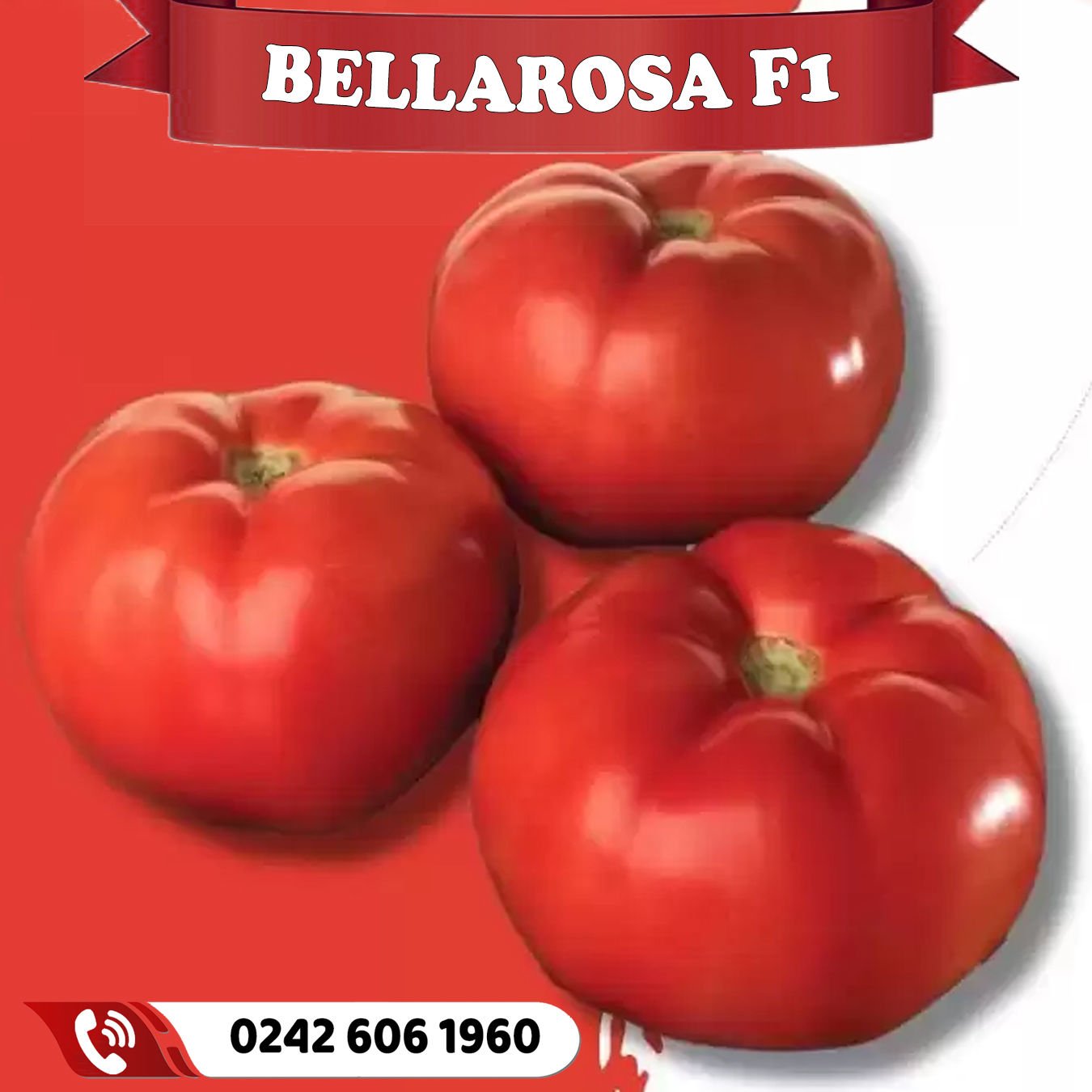 Bellarosa F1 Oturak Domates Fidesi