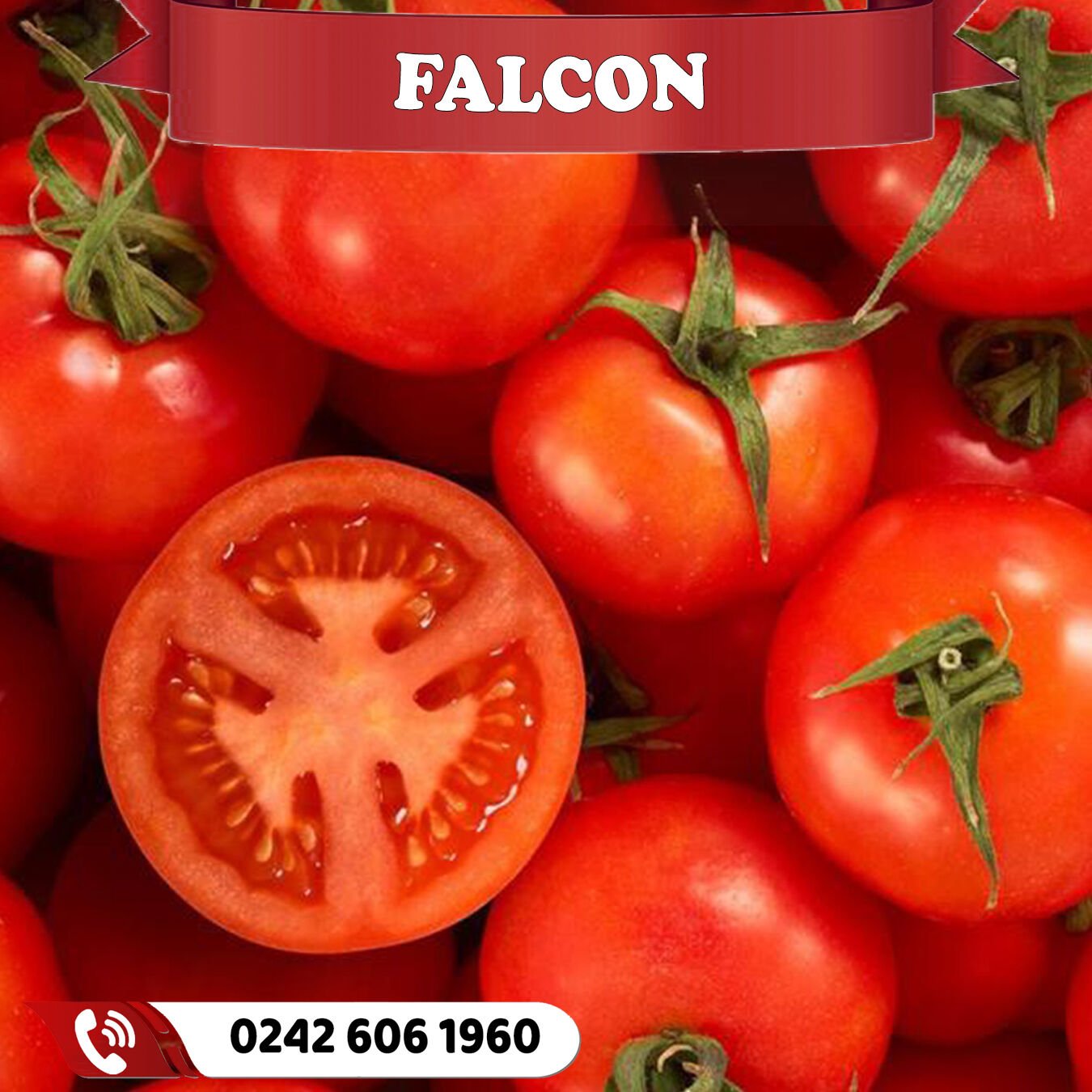 Falcon Tarla Domatesi Fidesi