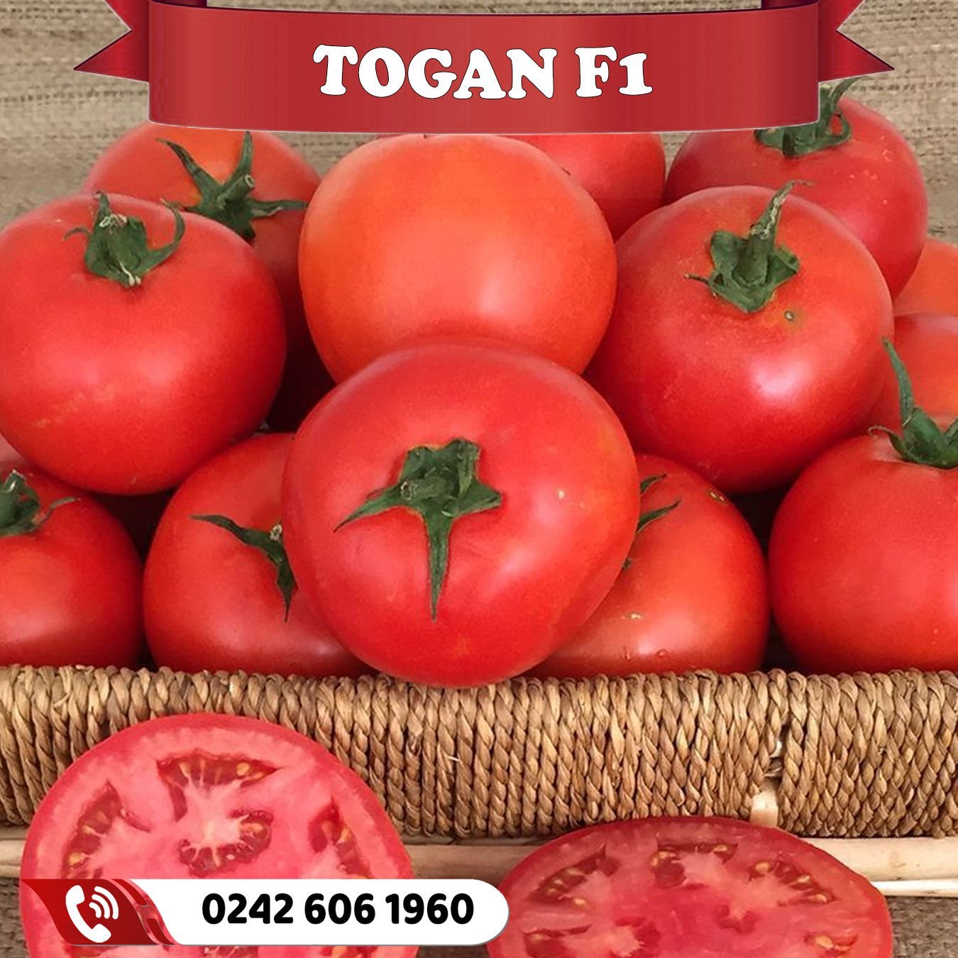 Togan F1 Sofralık Domates Fidesi