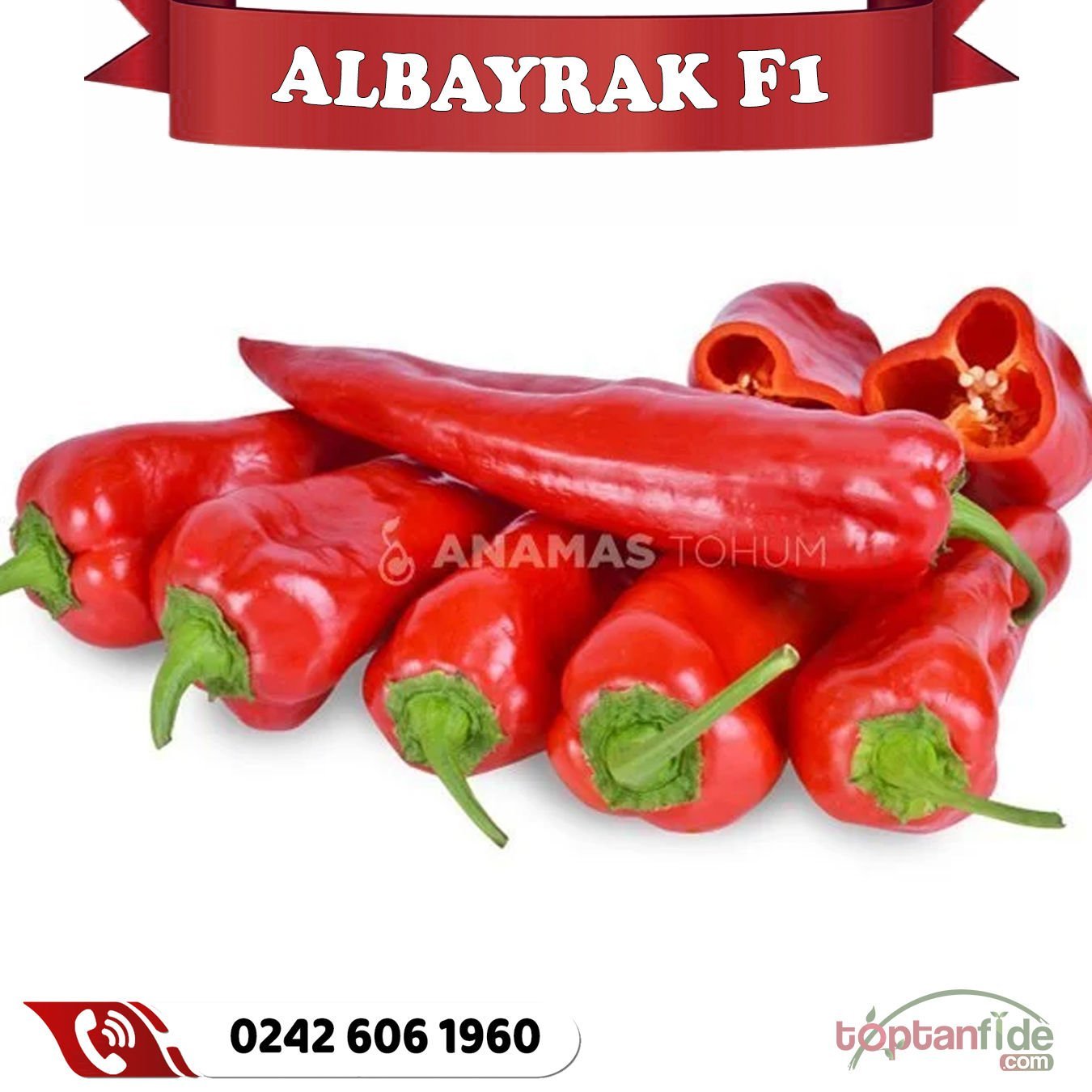 Albayrak F1 Kapya Biber Fidesi