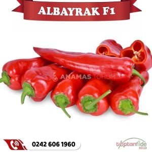Albayrak F1 Kapya Biber Fidesi