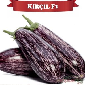 Kırçıl F1 Çizgili Patlıcan Fidesi