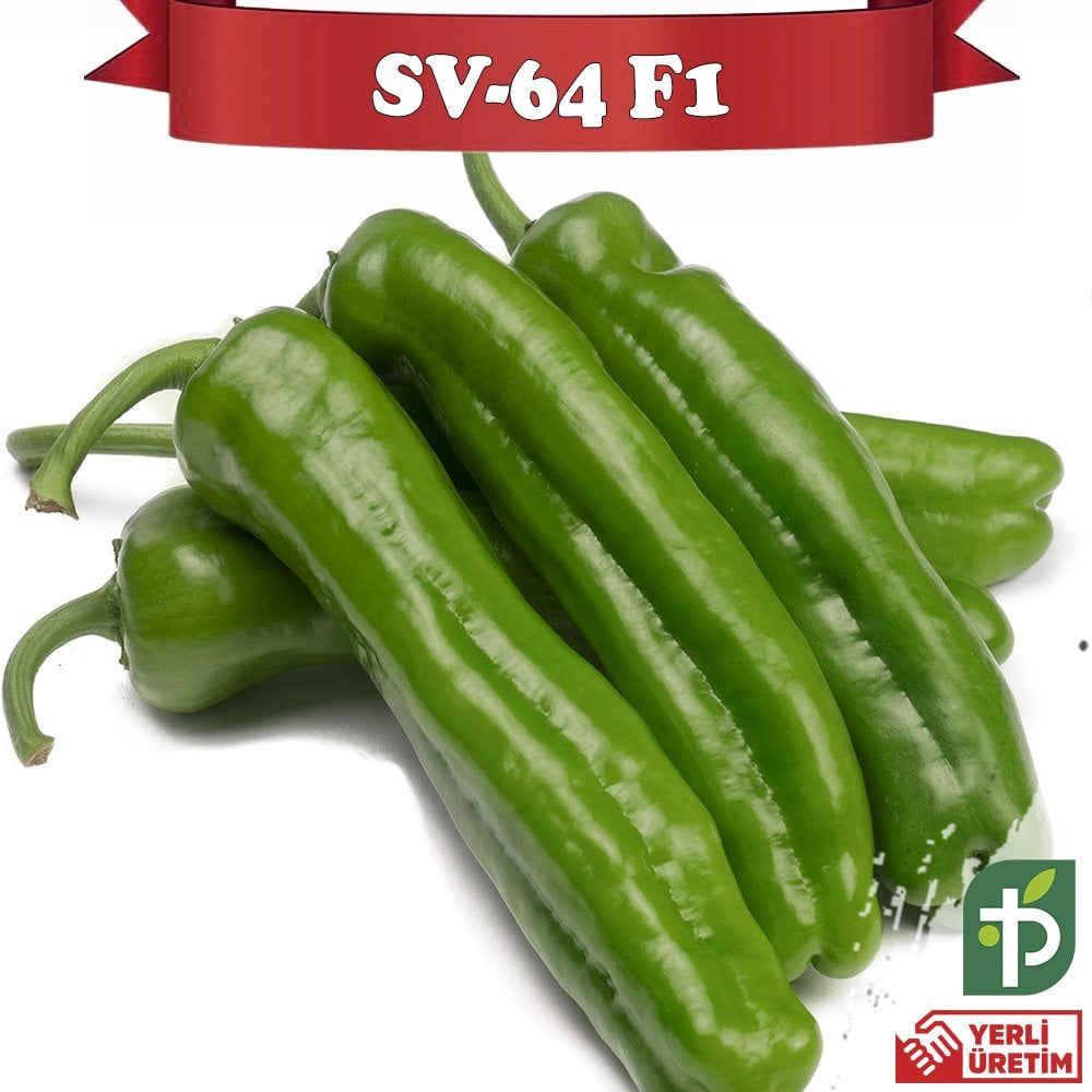 SV-64 F1 - Acı Üçburun Köy Biber Tohumu 1000 Adet