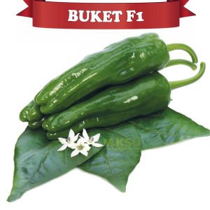 Buket F1 Köy Biberi Fidesi