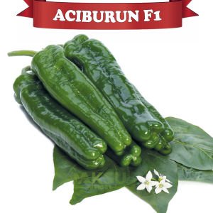 Acıburun F1 Acı köy Biberi Fidesi