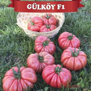 Gülköy F1 Pembe Köy Domates Tohumu