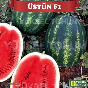 Üstün F1 Karpuz Fidesi