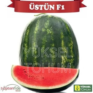 Üstün F1 Karpuz Fidesi