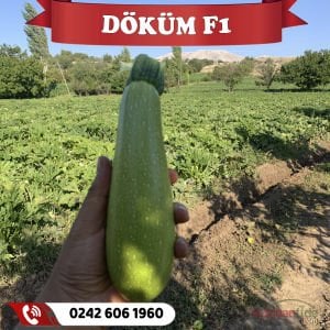 Döküm F1 Kabak Tohumu 500 Adet