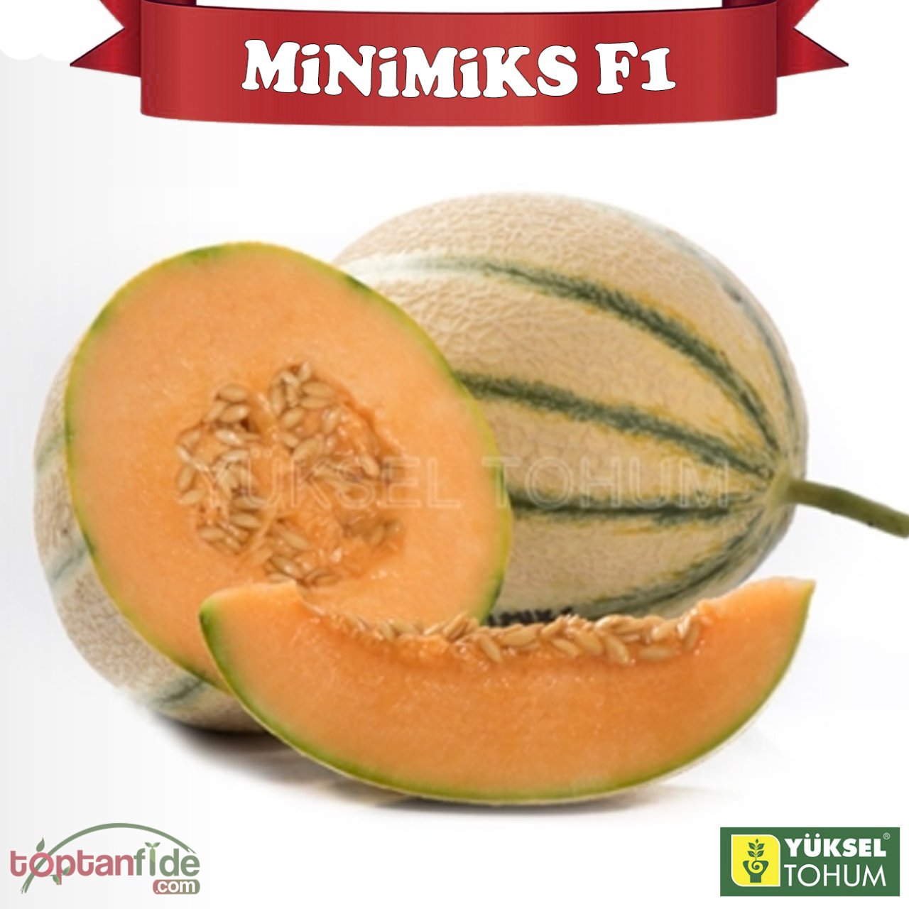 Minimiks F1 Mini Kavun Fidesi