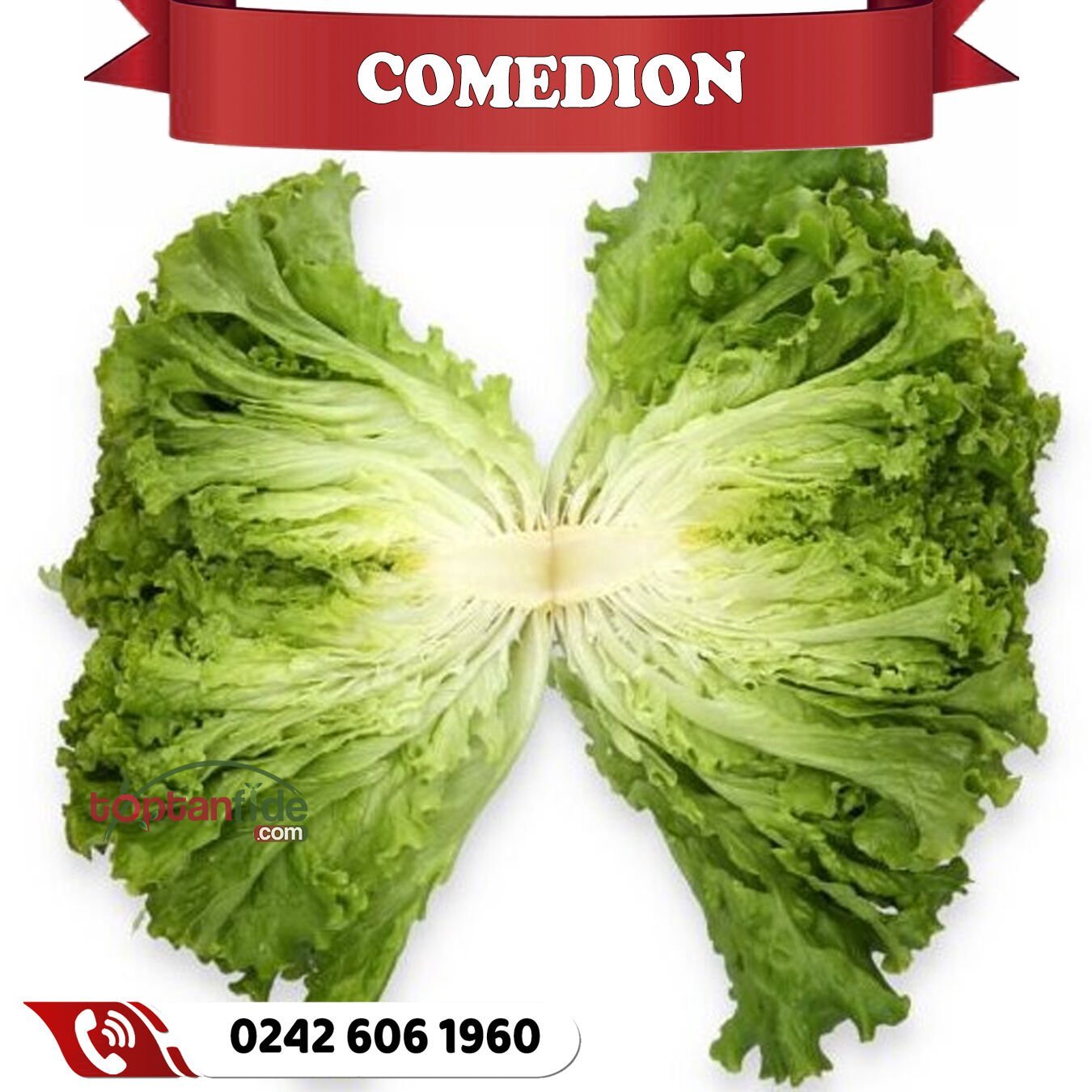 Comedion Kıvırcık Marul Fidesi