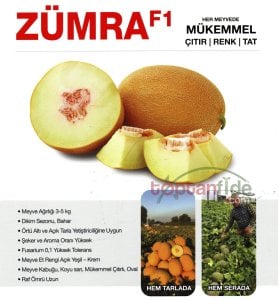 Zümra F1 Kavun Fidesi