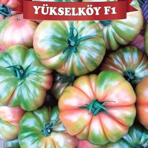 Yükselköy F1 Köy Domatesi Tohumu