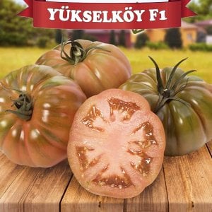Yükselköy F1 Köy Domatesi Tohumu