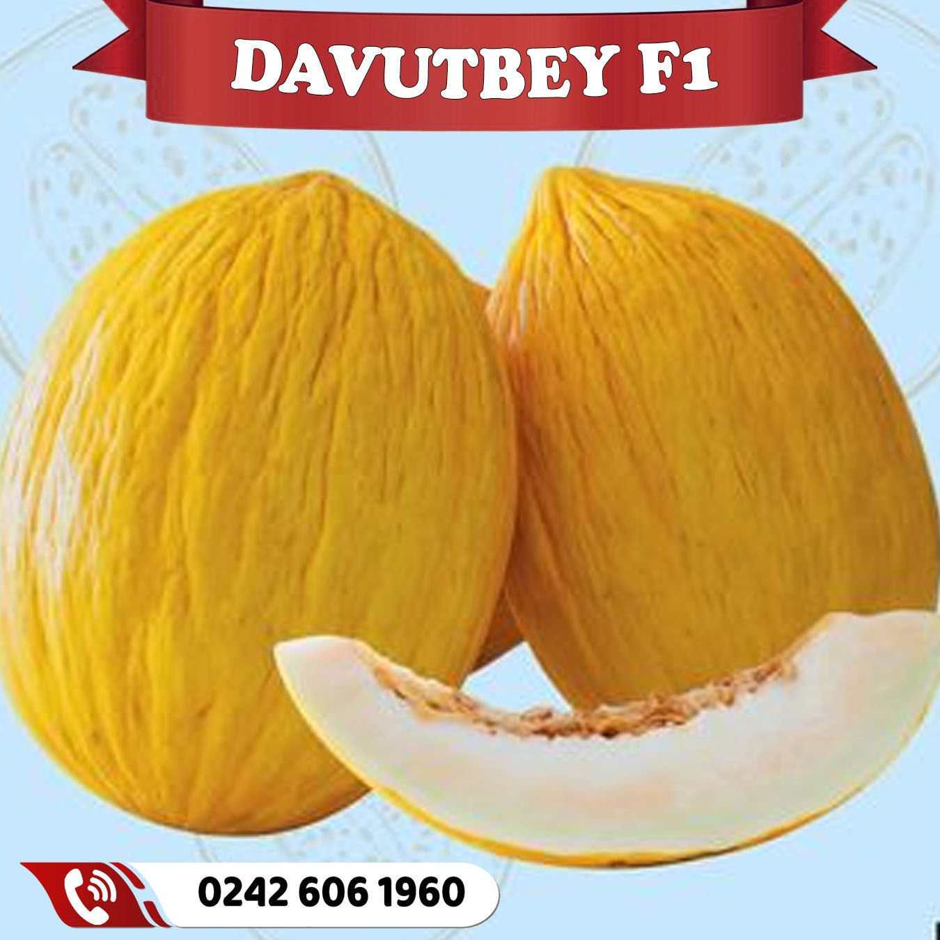 Davutbey F1 Kırkağaç Kavun Fidesi
