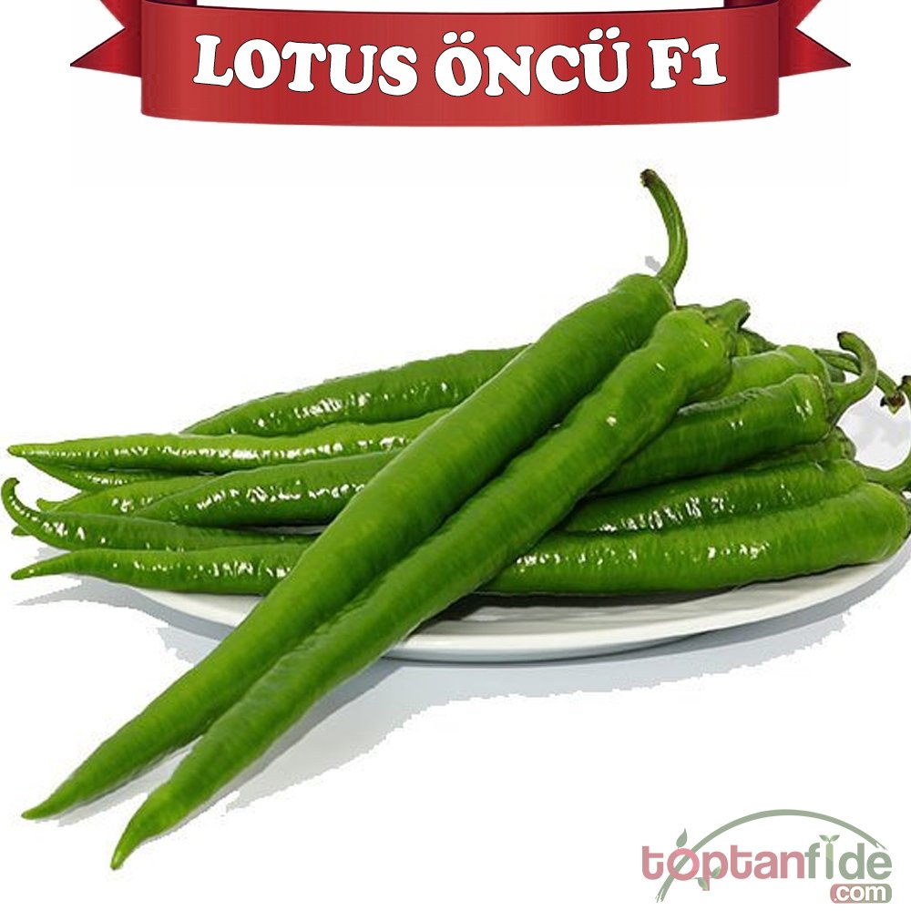 Lotus Öncü F1 Sivri Biber Fidesi