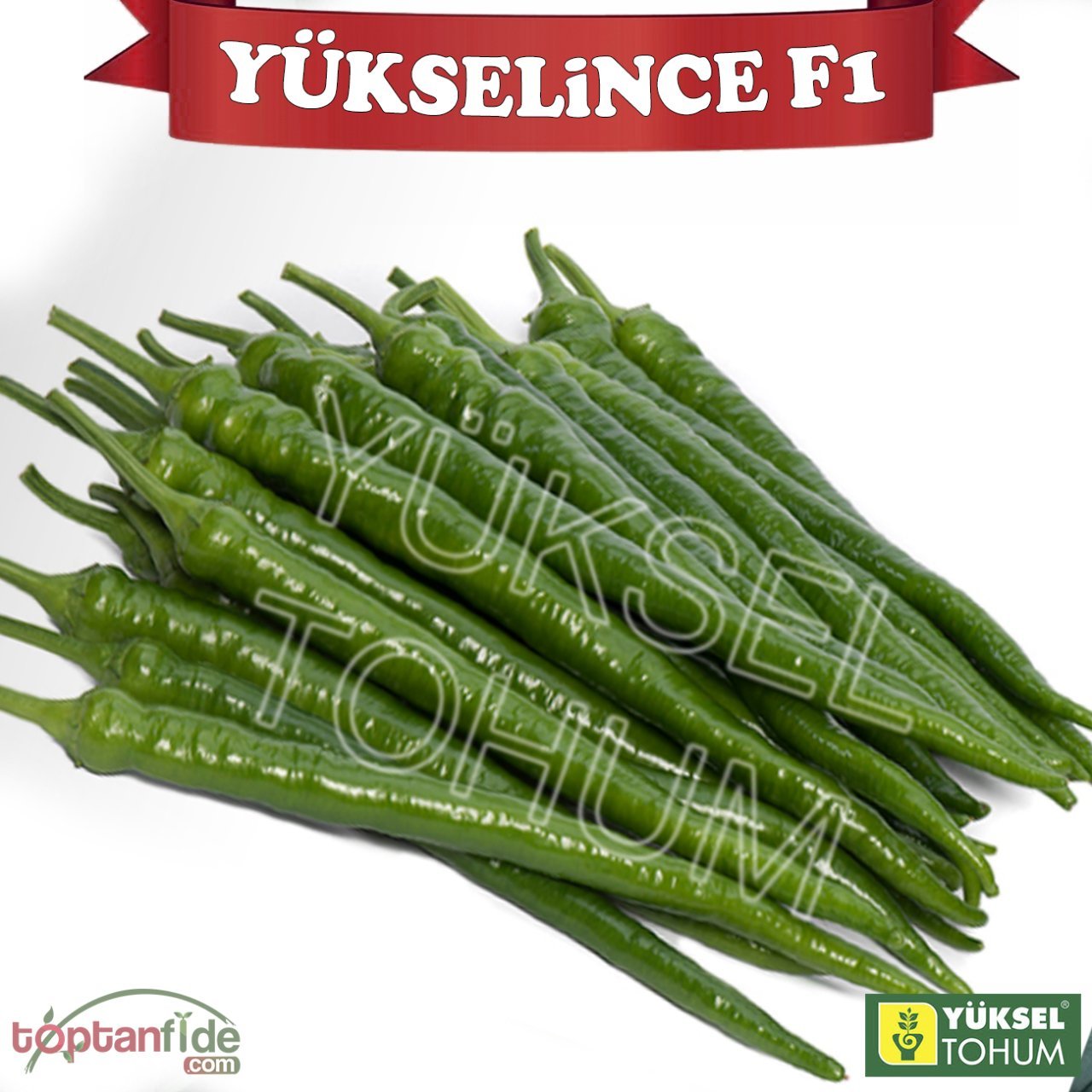 Yükselince F1 Acı Sivri Biber Fidesi