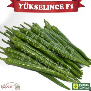 Yükselince F1 Acı Sivri Biber Fidesi