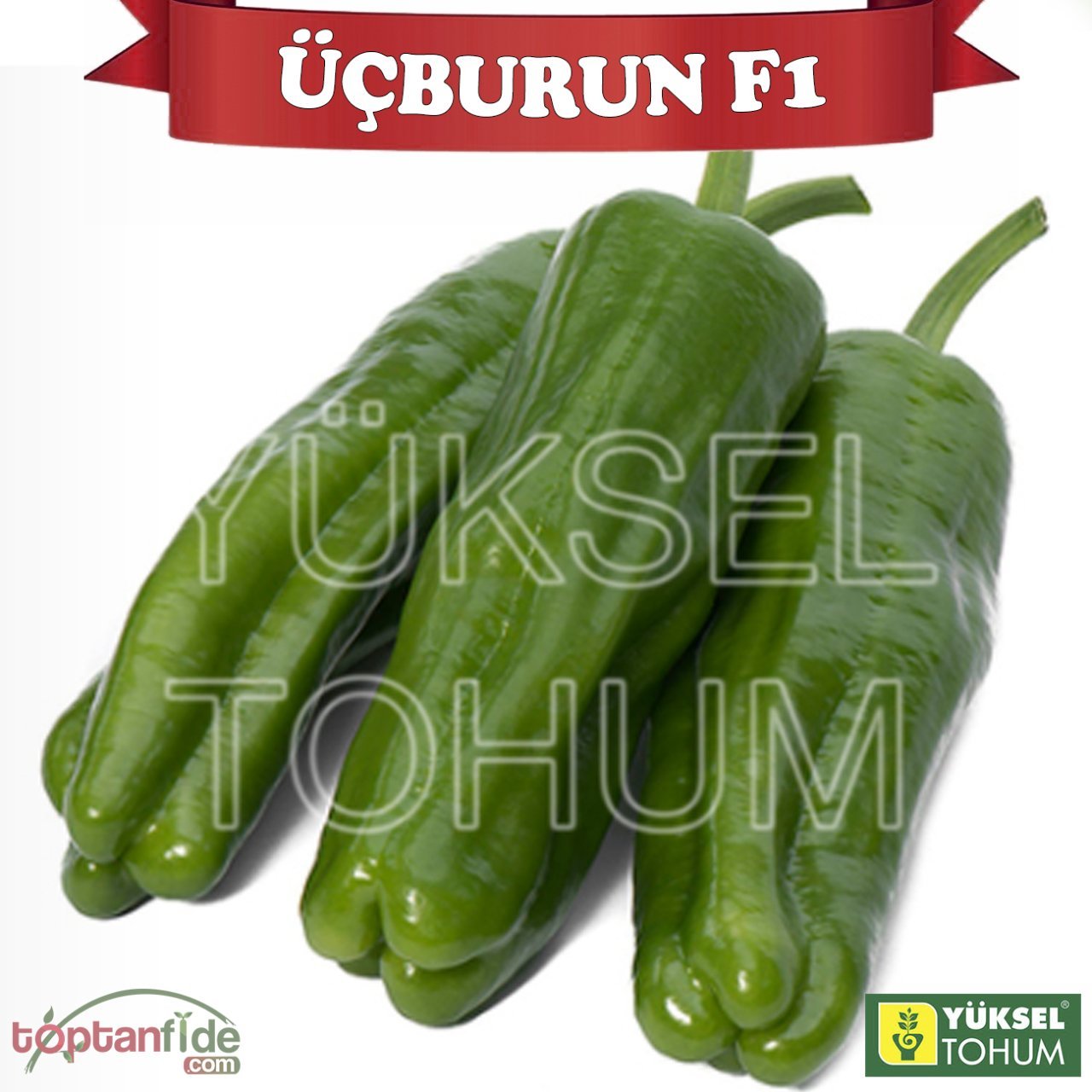 Üçburun F1 Üçburun Biber Fidesi