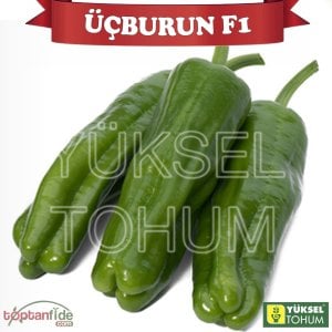 Üçburun F1 Üçburun Biber Fidesi