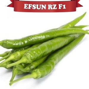 Efsun 37-05 F1 Sivri Biber Fidesi