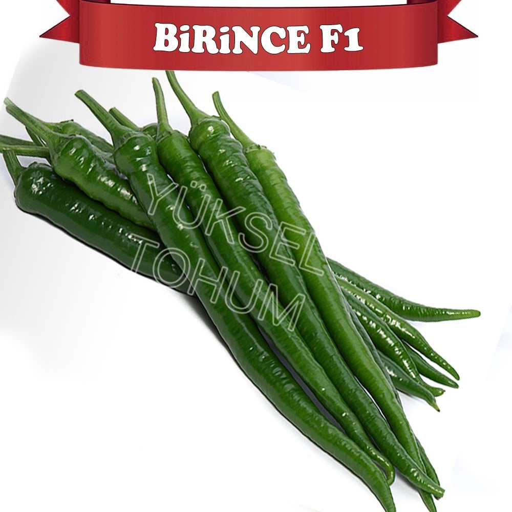 Birince F1 Tatlı İnce Sivri Biber Fidesi