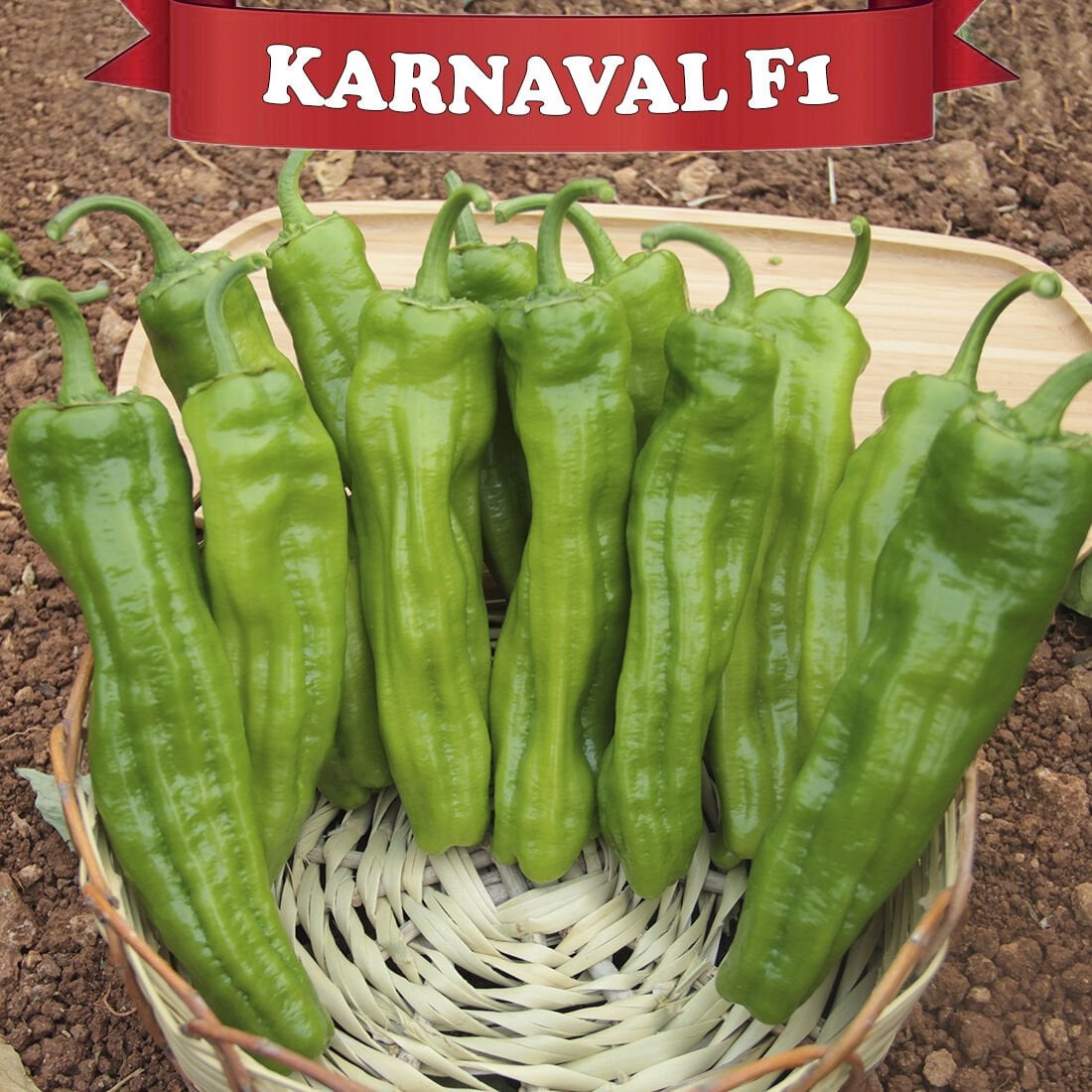 Karnaval F1 Üçburun Biber Fidesi