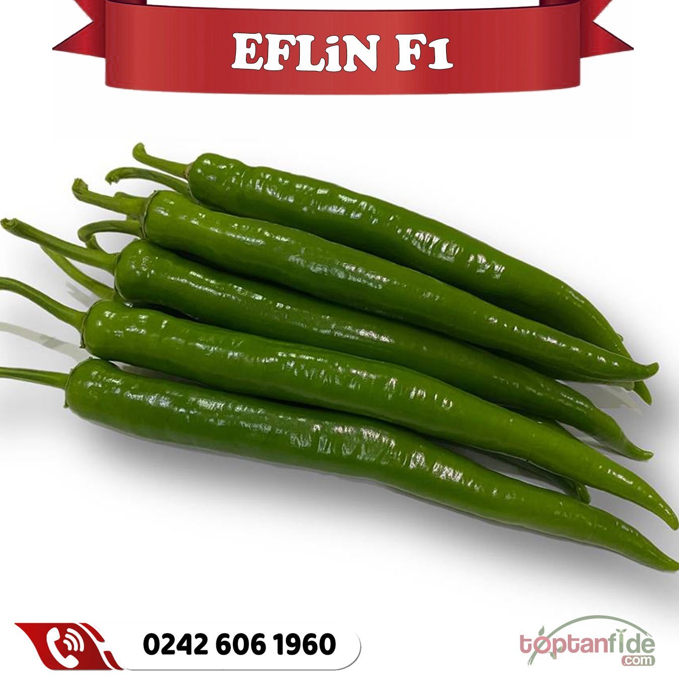 Eflin F1 Tatlı Sivri Biber Fidesi