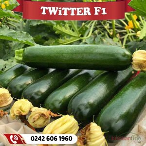 Twitter F1 Siyah Kabak Fidesi