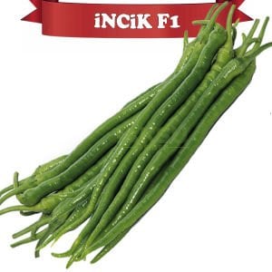 İncik F1 Tatlı Kıl Biber Fidesi
