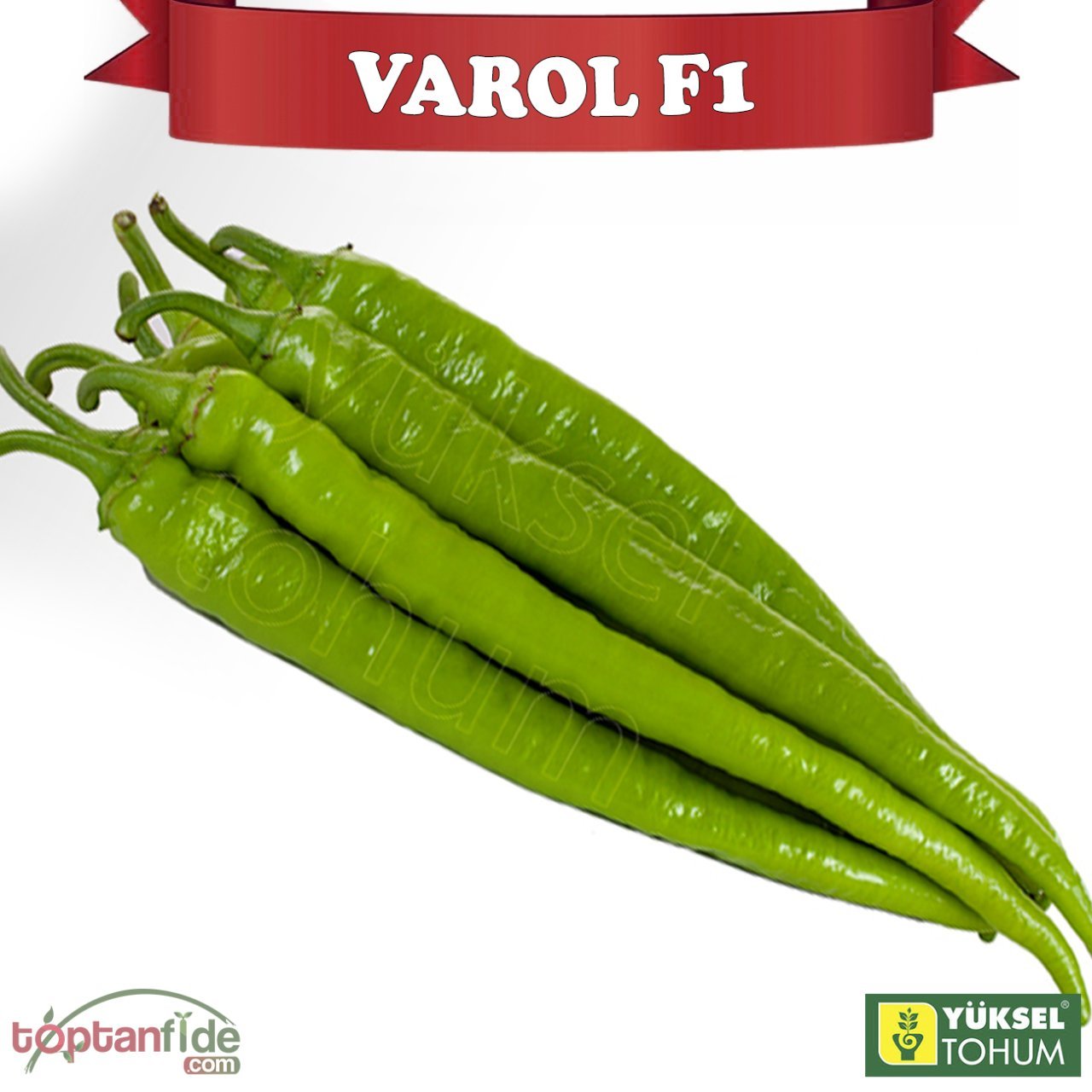 Varol F1 - Acı Sivri Biber Fidesi