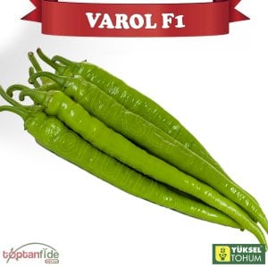 Varol F1 - Acı Sivri Biber Fidesi