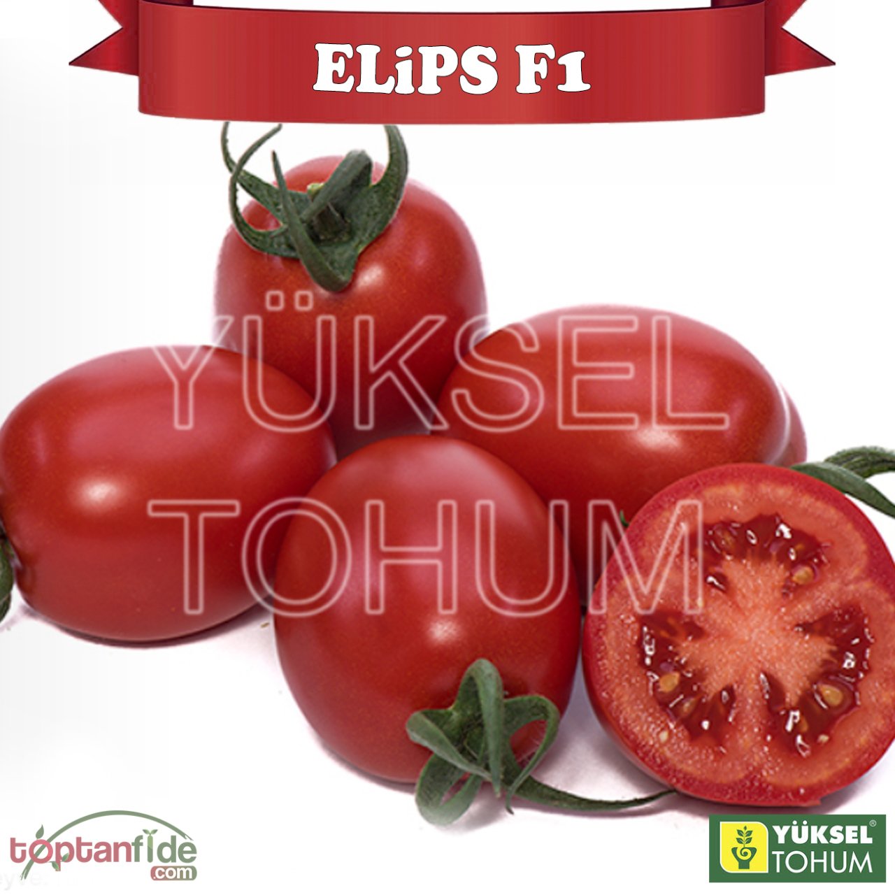 Elips F1 Sırık Oval Domates Fidesi
