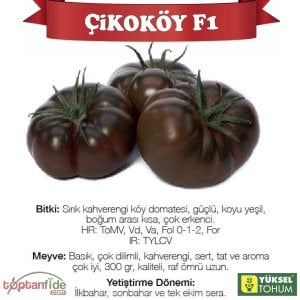 Çikoköy F1 Kahverengi Köy Domatesi Fidesi