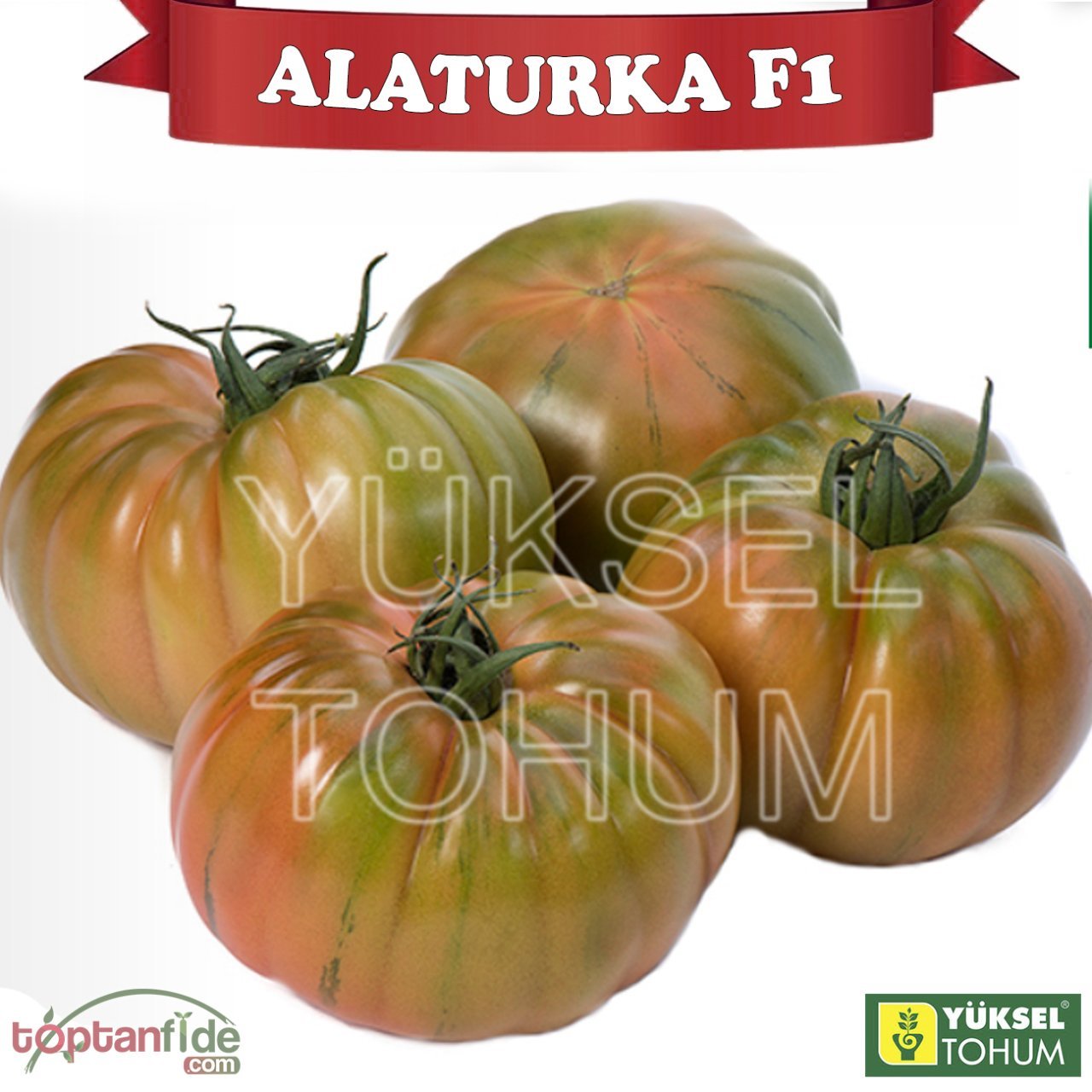 Alaturka F1 - Sırık Köy Domatesi Fidesi