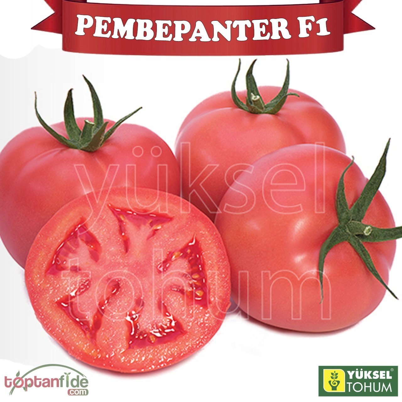 Pembepanter F1 Sırık Domates Fidesi
