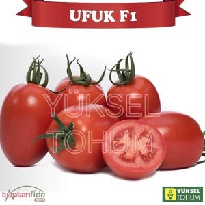 Ufuk F1 Sırık Oval Domates Fidesi