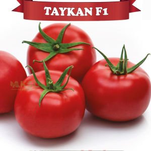 Taykan F1 Güzlük Tek Sezon Domates Fidesi