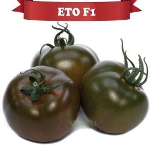 Eto F1 - Kahverengi Sırık Domates Fidesi