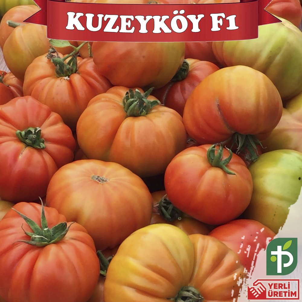 Kuzeyköy F1 - Köy Domatesi Tohumu 1000 Adet
