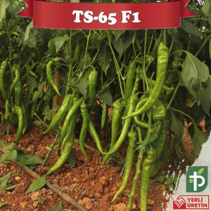 TS-65 F1 Tatlı Sivri Biber Tohumu